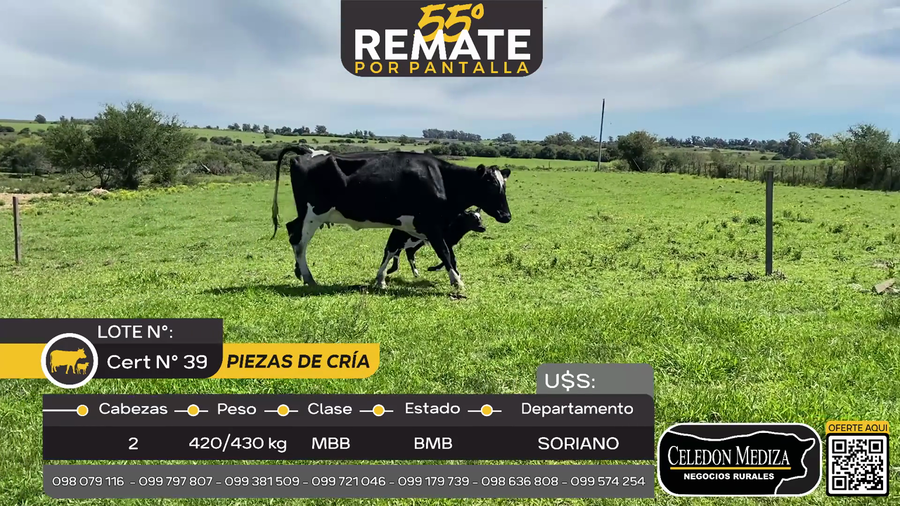 Lote 2 Piezas de cría Piedra Chata, a 20 km de Cardona, Soriano