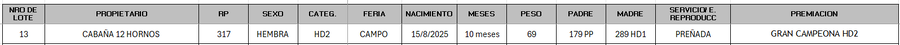 Lote LOTE 13 - CAMPO