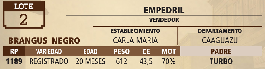 Lote LOTE 2 - PANTALLA
