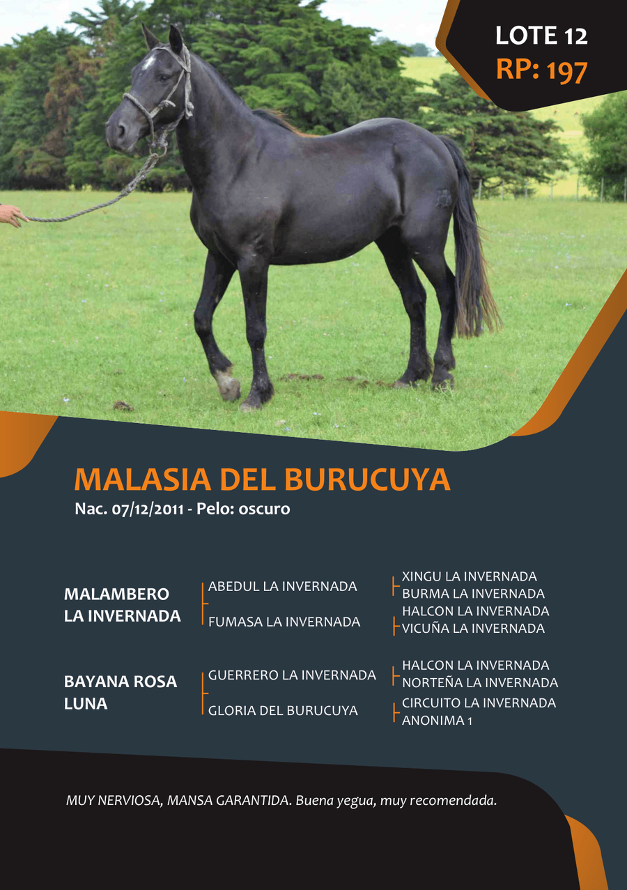 Lote RP 197 - MALASIA DEL BURUCUYA
