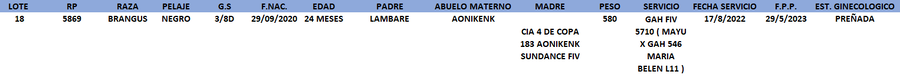 Lote LOTE 18