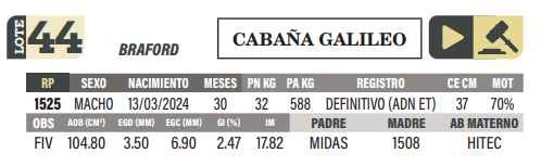 Lote LOTE 44