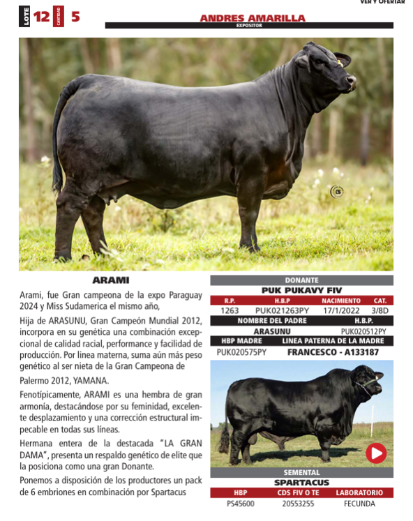 Lote LOTE 12
