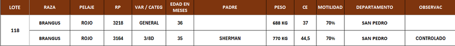 Lote LOTE 118