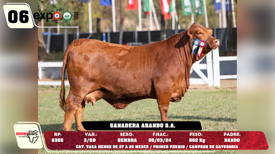 Lote LOTE 6