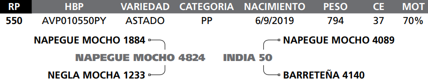 Lote LOTE   56 RP 550