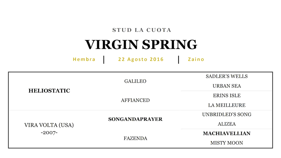 Lote VIRGIN SPRING (HELIOSTATIC - VIRA VOLTA)