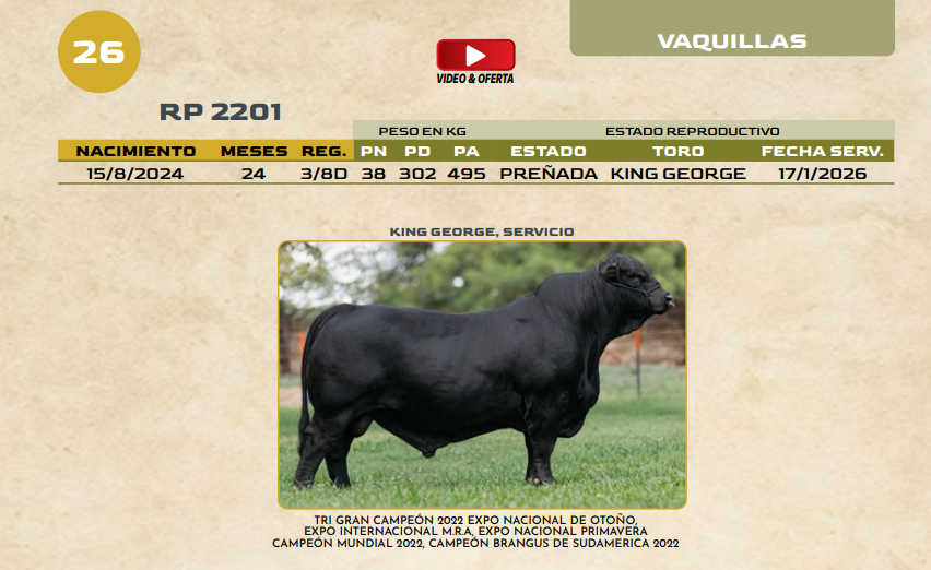 Lote LOTE 26