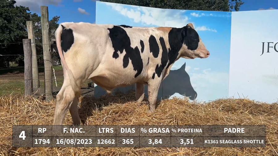 Lote LOTE 4 - RP 1794 - K1361 SEAGLASS SHOTTLE x KAROLINE 1201 BEATTLES K-BURT