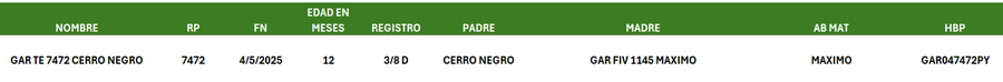 Lote LOTE 20