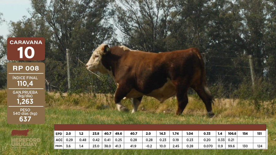 Lote Caravana 10 "James Thompson"