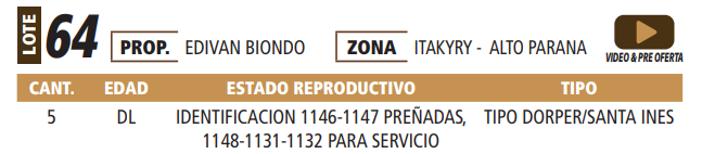 Lote LOTE 64 -POR PANTALLA