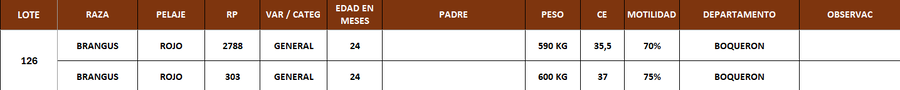 Lote LOTE 126