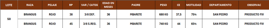Lote LOTE 50