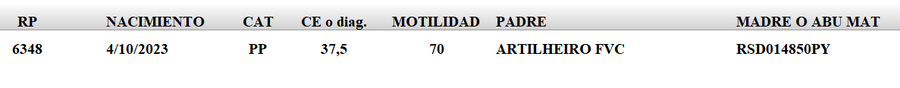 Lote LOTE 65