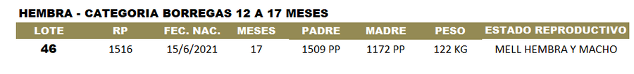 Lote LOTE 46 - CABAÑA ARGENTINA