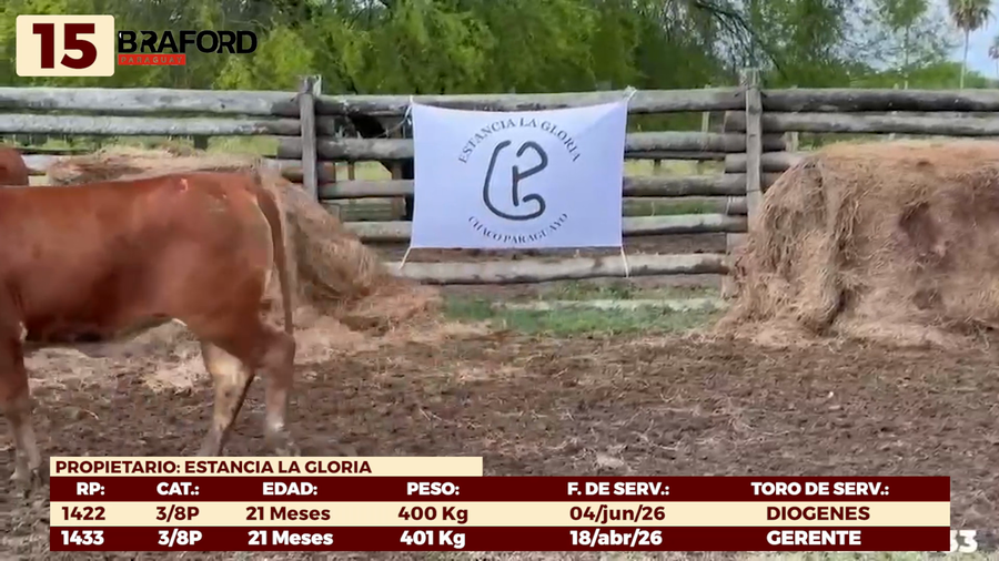 Lote LOTE 15 - VAQUILLAS DE CAMPO