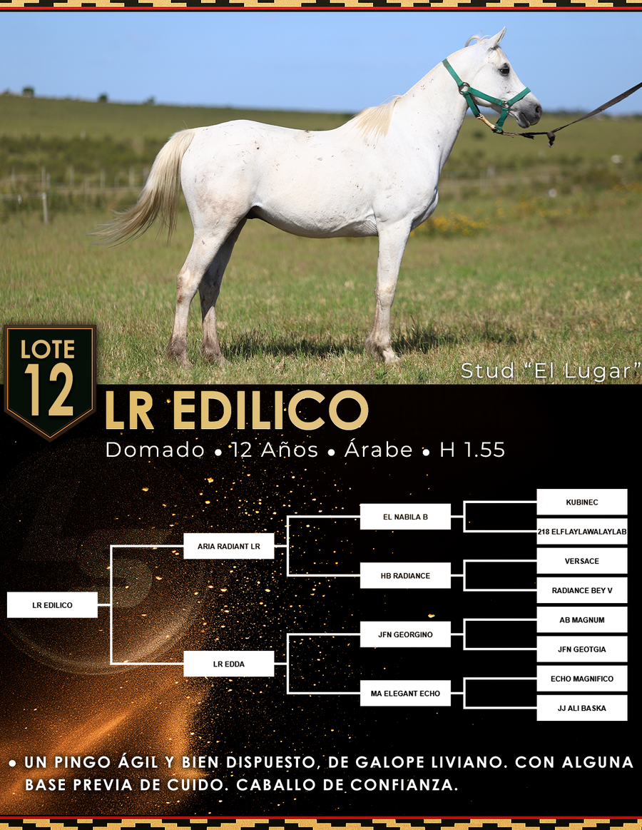 Lote LR EDILICO