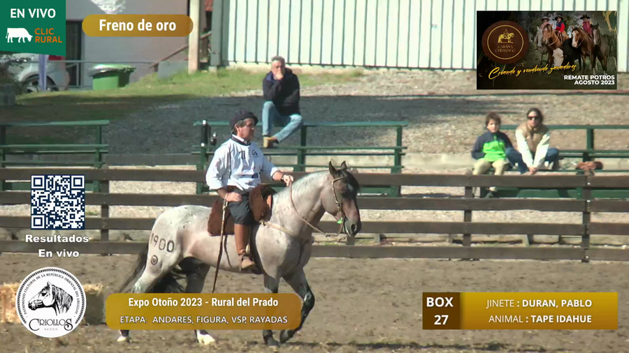 Lote TAPE IDAHUE - MAILHOS, ROBERTO J.