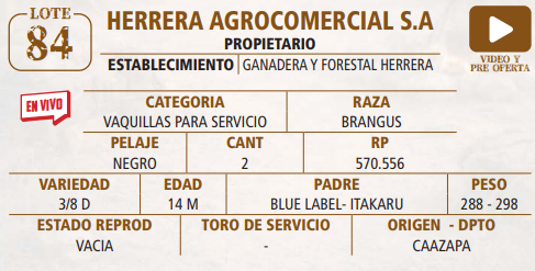 Lote LOTE 84 -EN VIVO