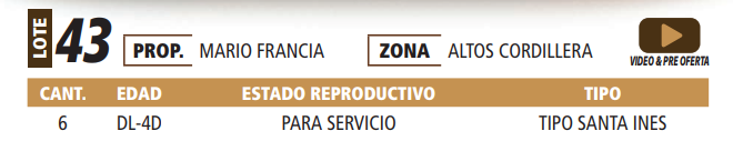 Lote LOTE 43 -POR PANTALLA