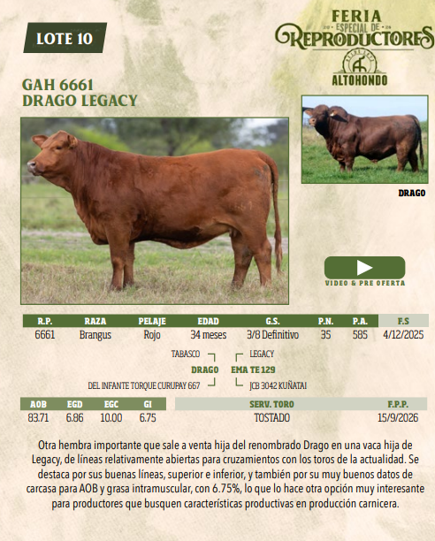 Lote LOTE 10
