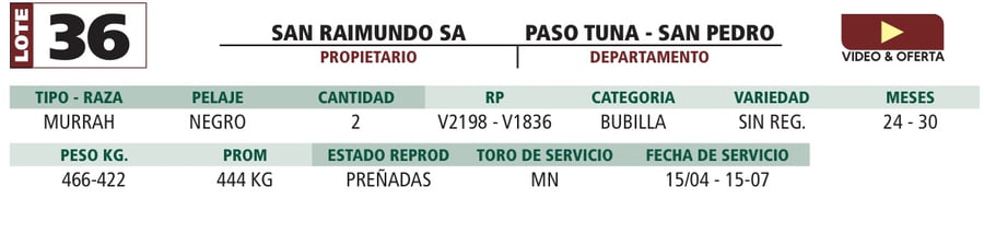 Lote LOTE 36