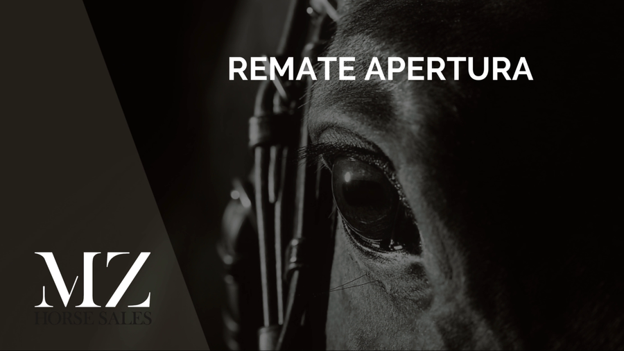 Lote INSTANT PRIZE (PAINTER - ILLINOIS LADY)