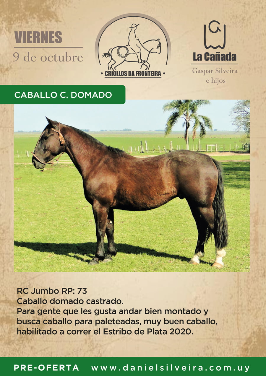 Lote Criollos da Fronteira RC Jumbo  RP: 73