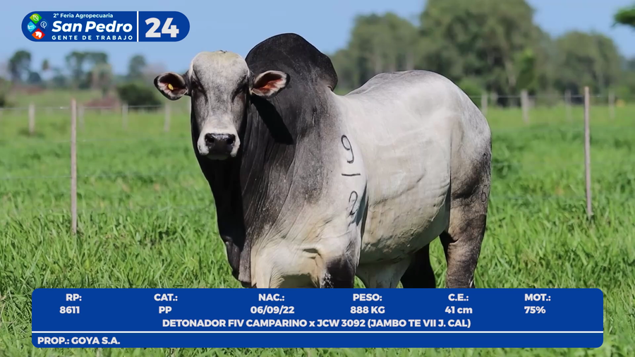 Lote LOTE 24- POR PANTALLA