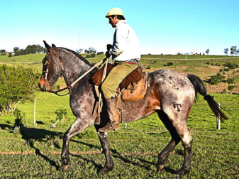 Lote Natalia de la cueva