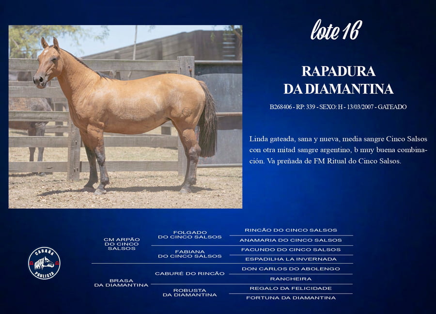 Lote Rapadura Da Diamantina