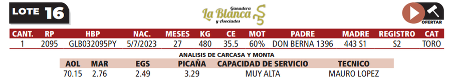 Lote LOTE 16