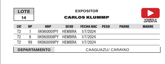 Lote LOTE 14- POR PANTALLA
