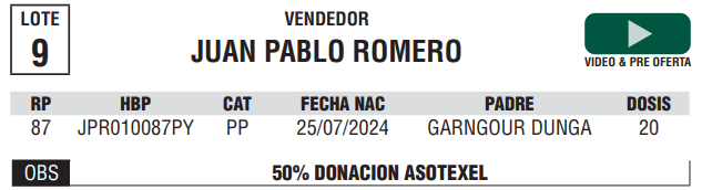 Lote LOTE 9