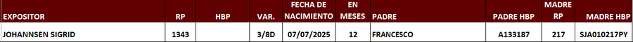 Lote LOTE 25
