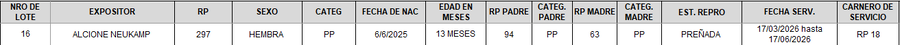 Lote LOTE 16 - CAMPO