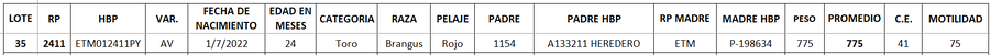 Lote LOTE 34
