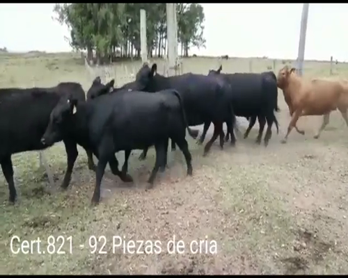 Lote PIEZAS DE CRIA