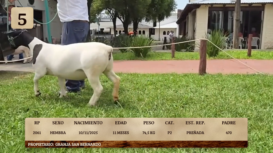 Lote LOTE 5
