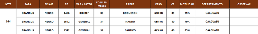 Lote LOTE 144