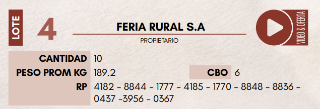 Lote LOTE 4 - HEMBRAS TIPO BRAFORD