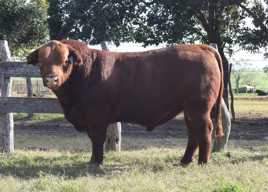 Lote CABAÑA “COEMBOTÁ” de Calderón RP 098