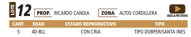 Lote LOTE 12 -POR PANTALLA