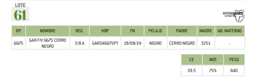Lote LOTE 61