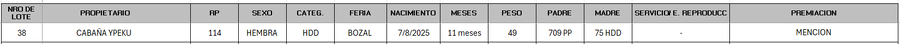 Lote LOTE 38 - BOZAL