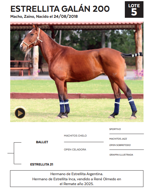 Lote LOTE 5