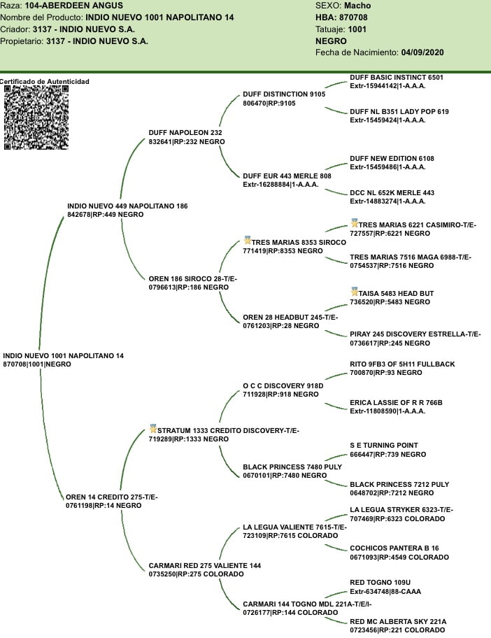Lote "Toros ""SANTA ROSA"""