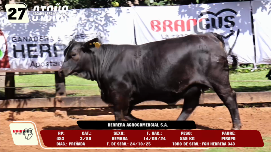 Lote LOTE 27 -DE CAMPO