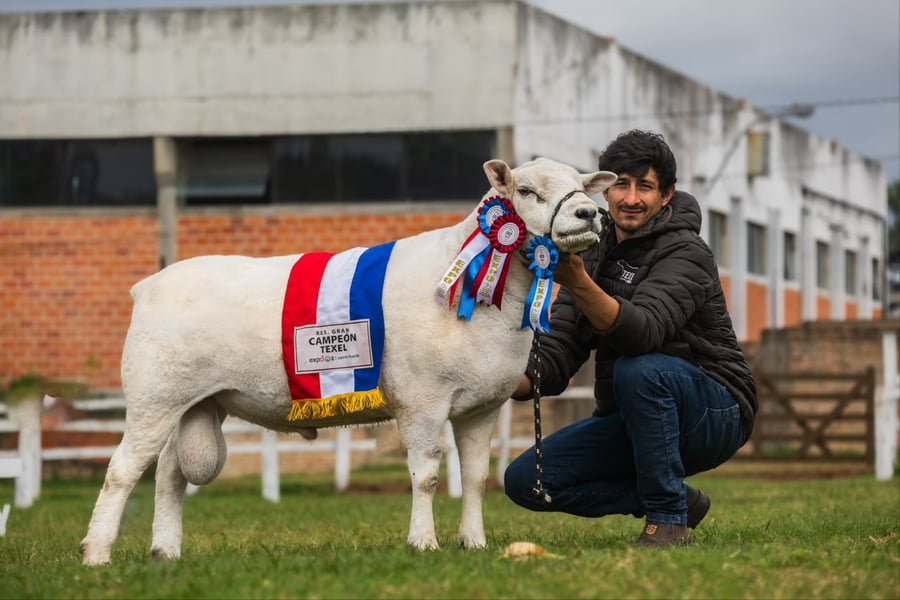 Lote LOTE 9